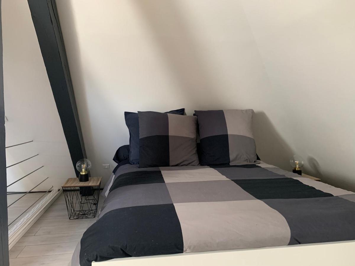 Cocoon Loft Apartment Colmar Exterior photo