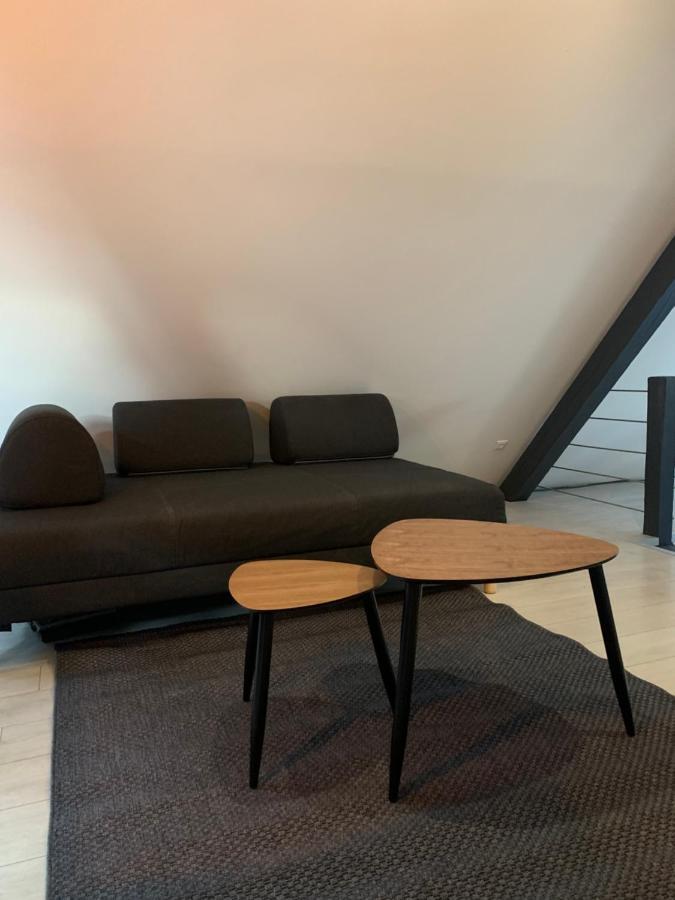 Cocoon Loft Apartment Colmar Exterior photo